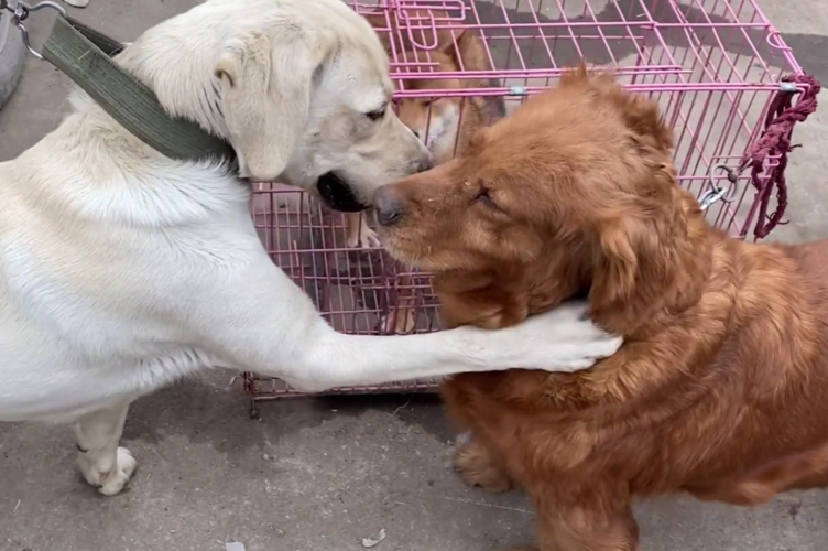 20221121183153_27531 20221121183153_27531