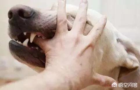 20221121184055_19919