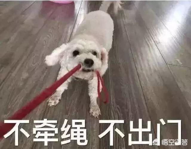 20221121184055_32027