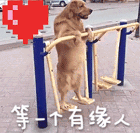 20221121193456_33836 20221121193456_33836