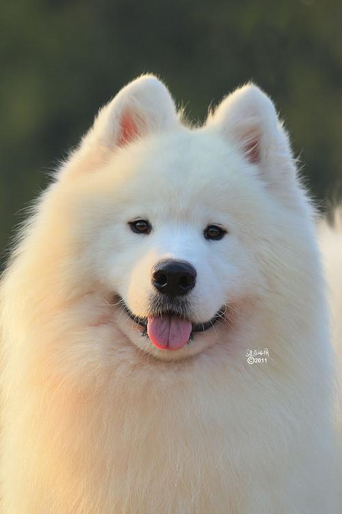 20221121193535_47547 20221121193535_47547