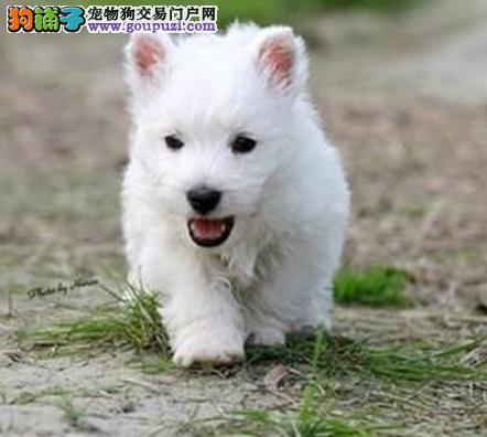 20221121213218_21426 20221121213218_21426