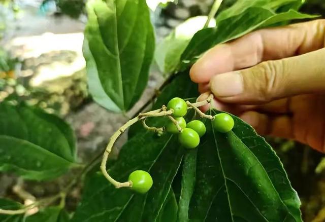 20221121220535_53418