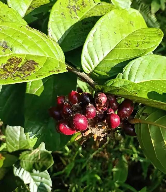 20221121220535_54019