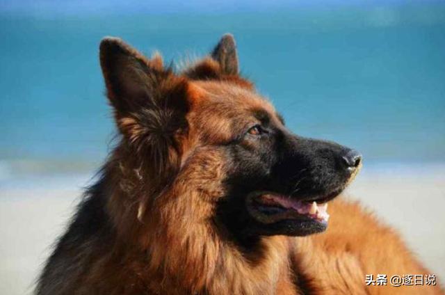 20221121225545_62615