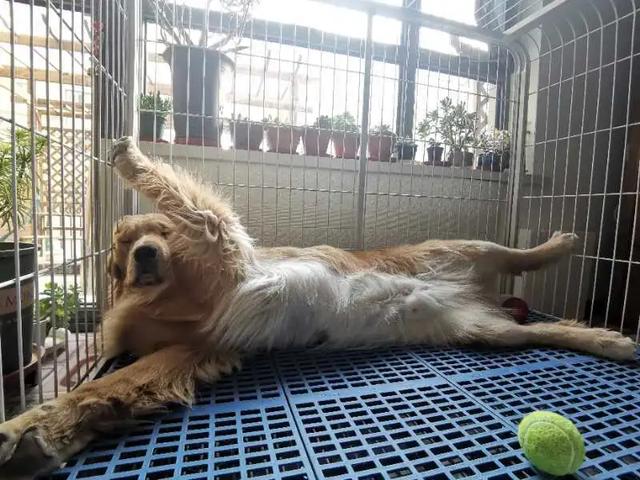 20221121232136_27328 20221121232136_27328