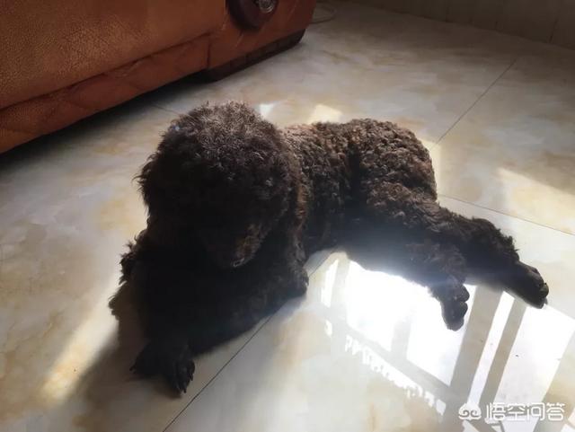 20221121232137_38142 20221121232137_38142