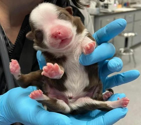 20221122001440_87341