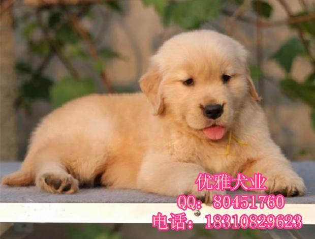 20221122002624_31884