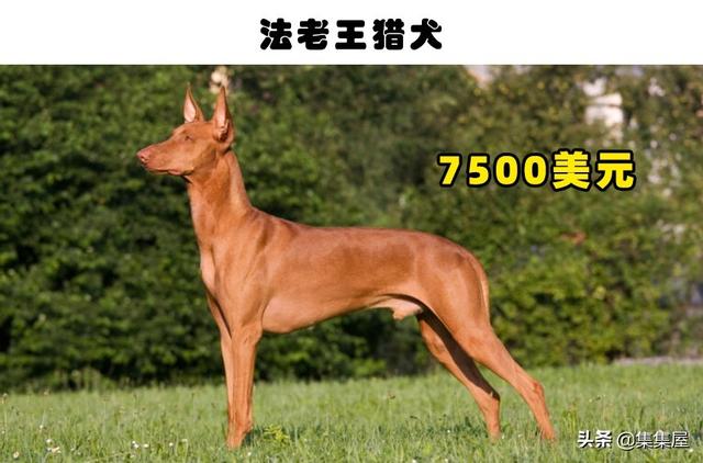 20221122002703_35214 20221122002703_35214