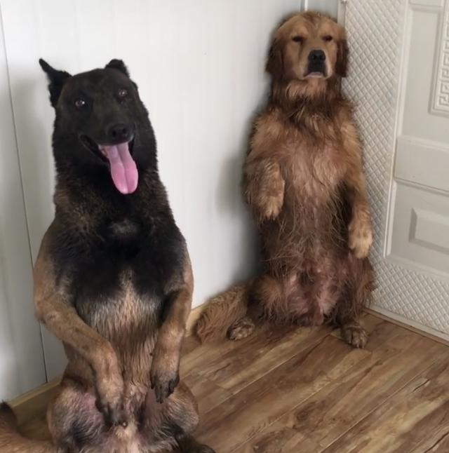 20221122002840_98694