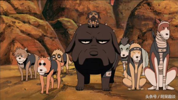 20221122003314_34071