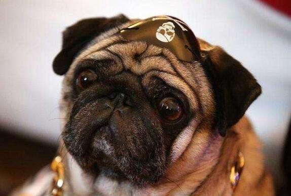 20221122011256_45636 20221122011256_45636