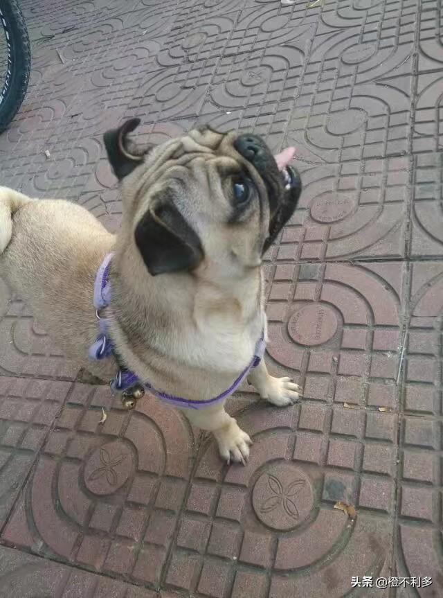 20221122011256_54857 20221122011256_54857