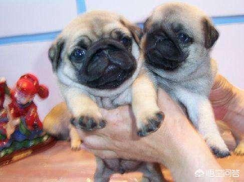 20221122011257_72874 20221122011257_72874