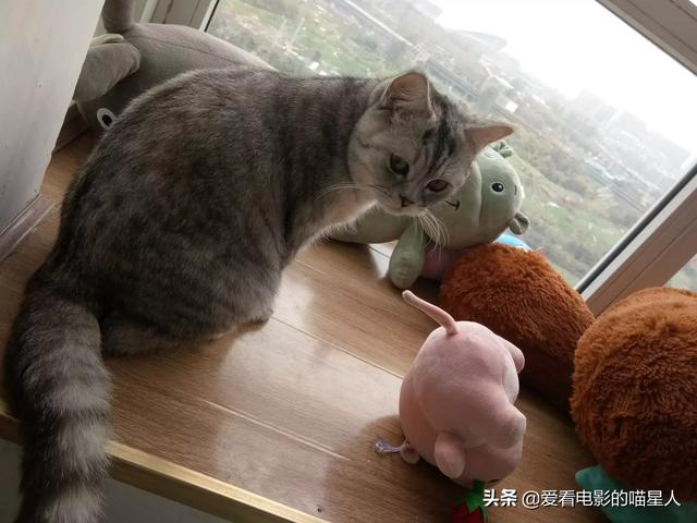 20221122115254_36047 20221122115254_36047