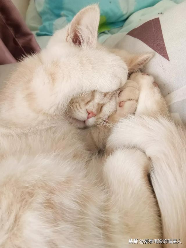 20221122115255_14590 20221122115255_14590