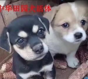 20221122125339_80211