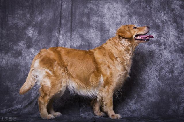 20221122143128_25241