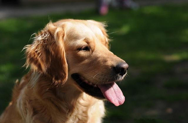 20221122145344_25691 20221122145344_25691