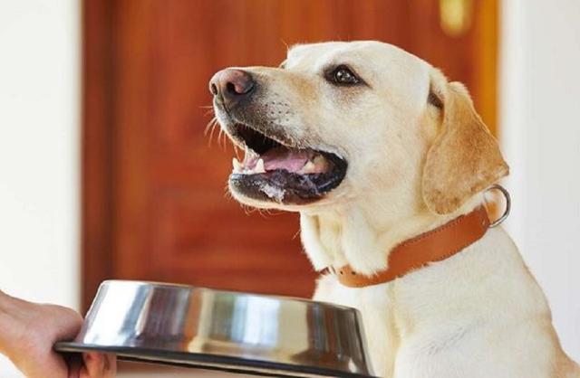 20221122145345_34758 20221122145345_34758