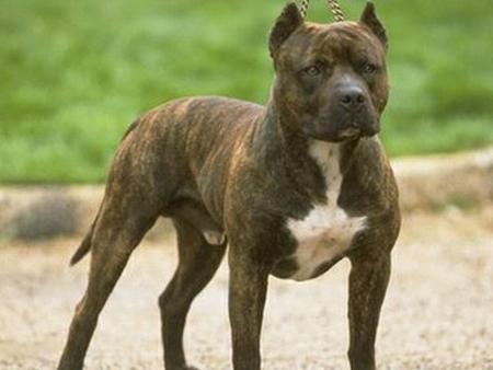 20221122164833_55463