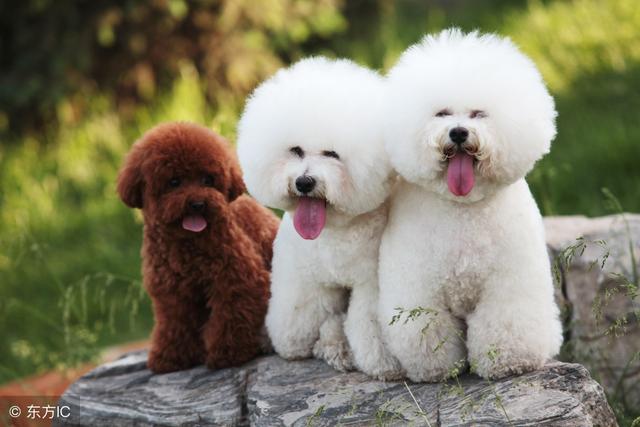 20221122165439_89610