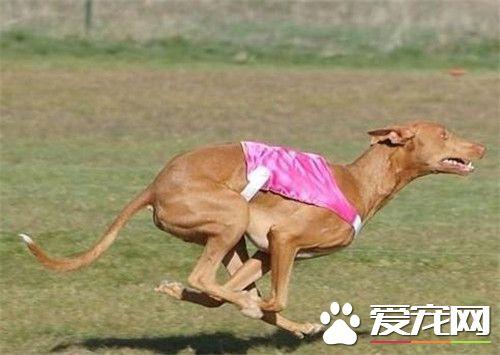 20221122180727_37106 20221122180727_37106