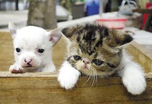 20221122181419_73714