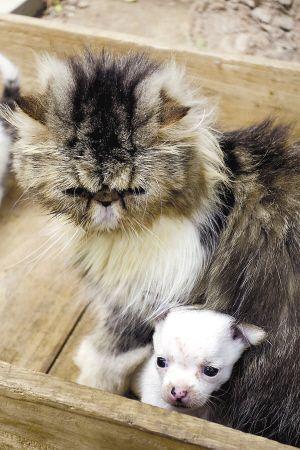 20221122181419_91103