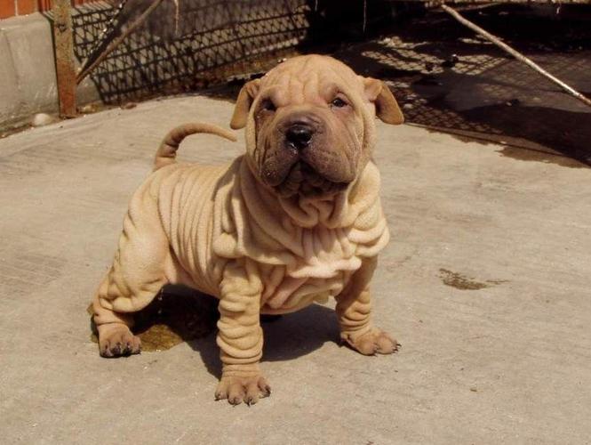 20221122190218_62673 20221122190218_62673