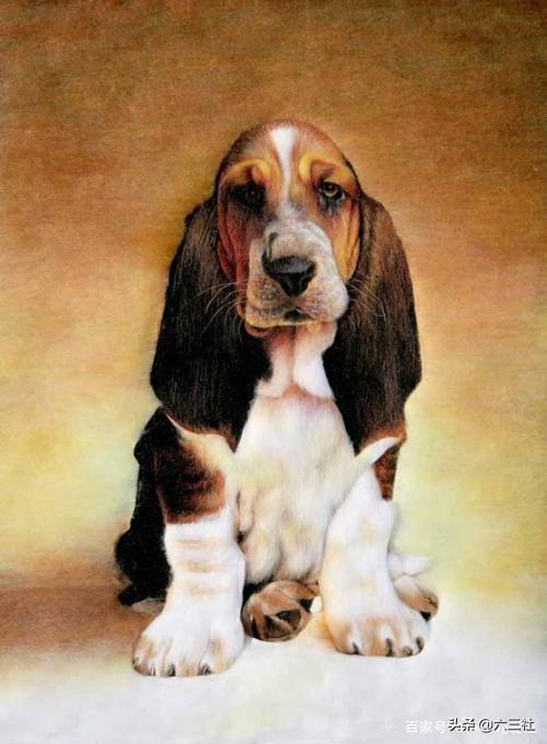 20221122195713_35907