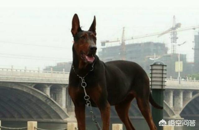 20221122200147_85176 20221122200147_85176