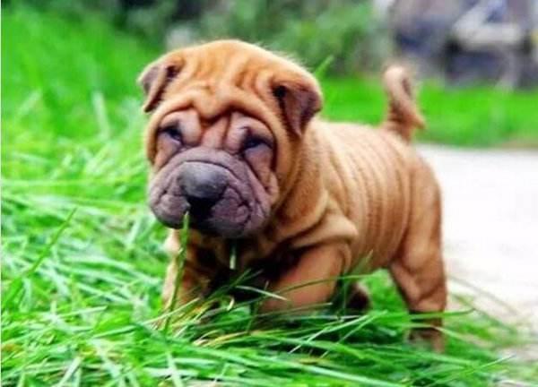 20221122203455_30501