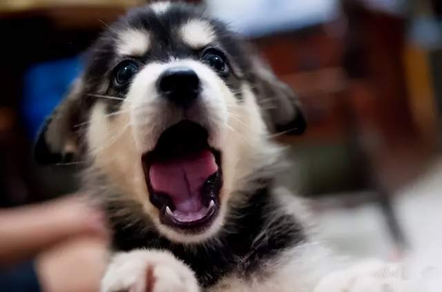 20221122204613_17734