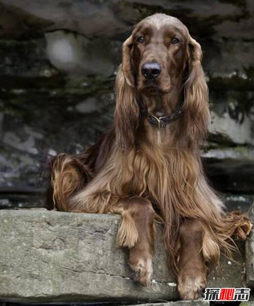 20221122213801_47487