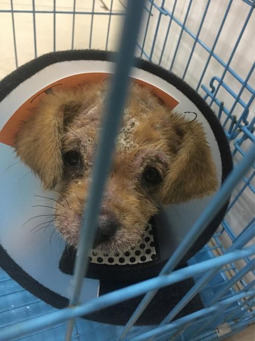 20221123103330_39776