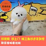 20221123112045_30225 20221123112045_30225