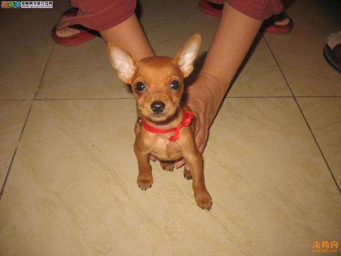 20221123112045_93239 20221123112045_93239