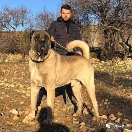 20221123132118_50161 20221123132118_50161