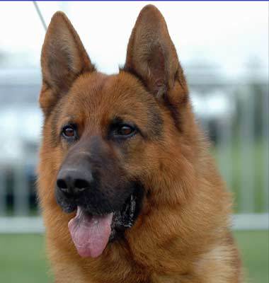 20221123150737_59030