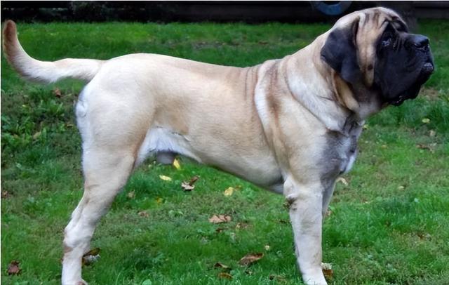 20221123161748_44342