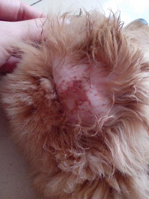 20221123162111_26618