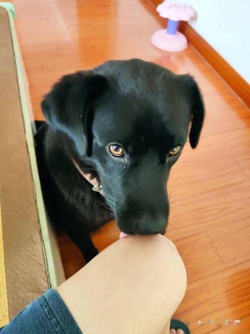 20221123184726_70977