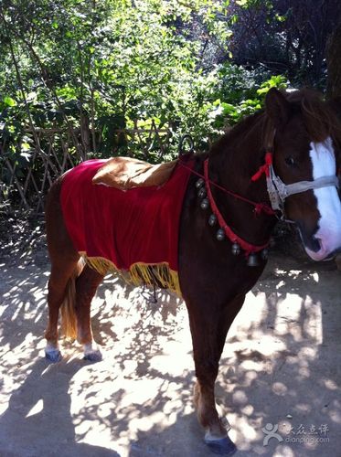 20221123195546_83506