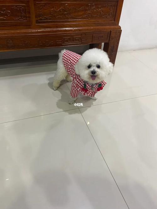 20221123195547_86373