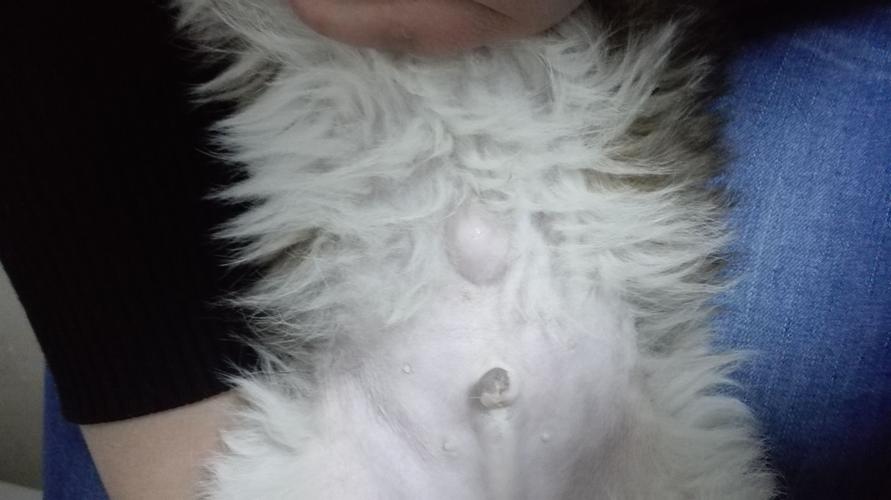 20221123202021_46253