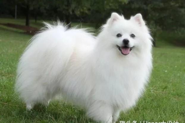 20221123203236_56944 20221123203236_56944