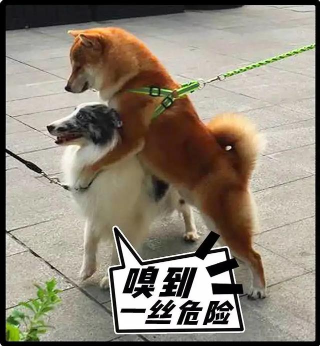 20221123204541_73478 20221123204541_73478