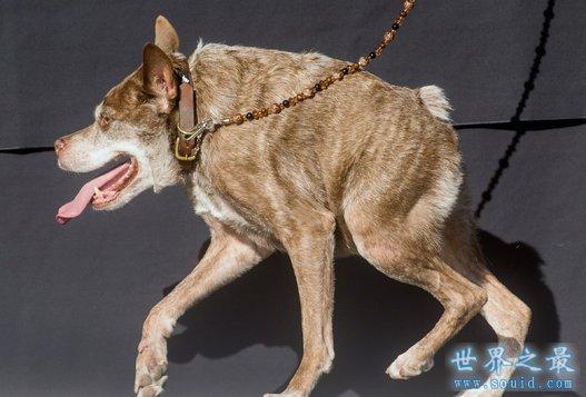 20221124092622_77484